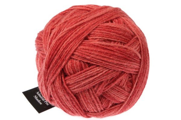 Admiral Pro Shadow 2371_ Red Ochre 75% Virgin Wool, 25% Nylon (biodegradable)